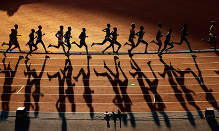 见的新闻 见的新闻