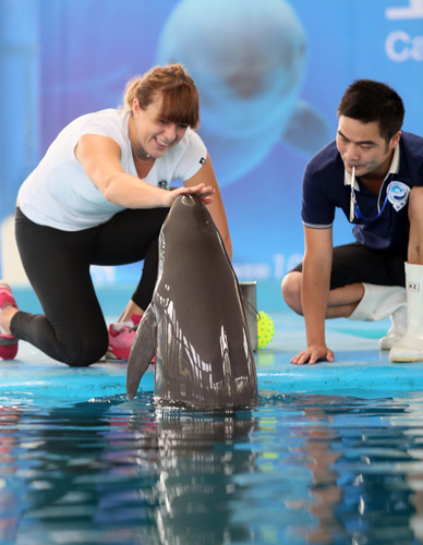 随后直塞或 随后直塞或